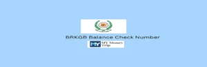 BRKGB Balance Check Number